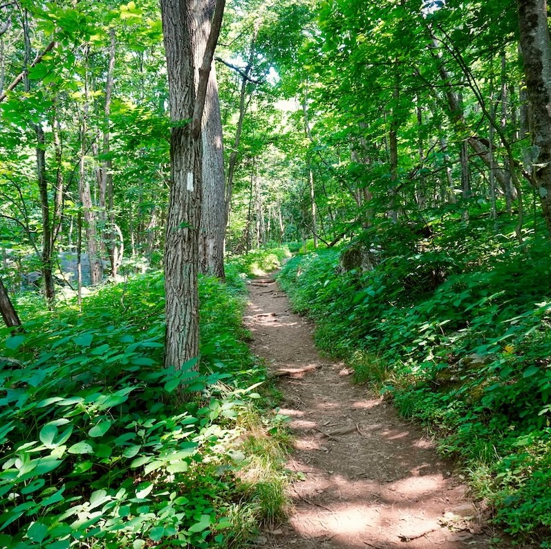 scenic trail