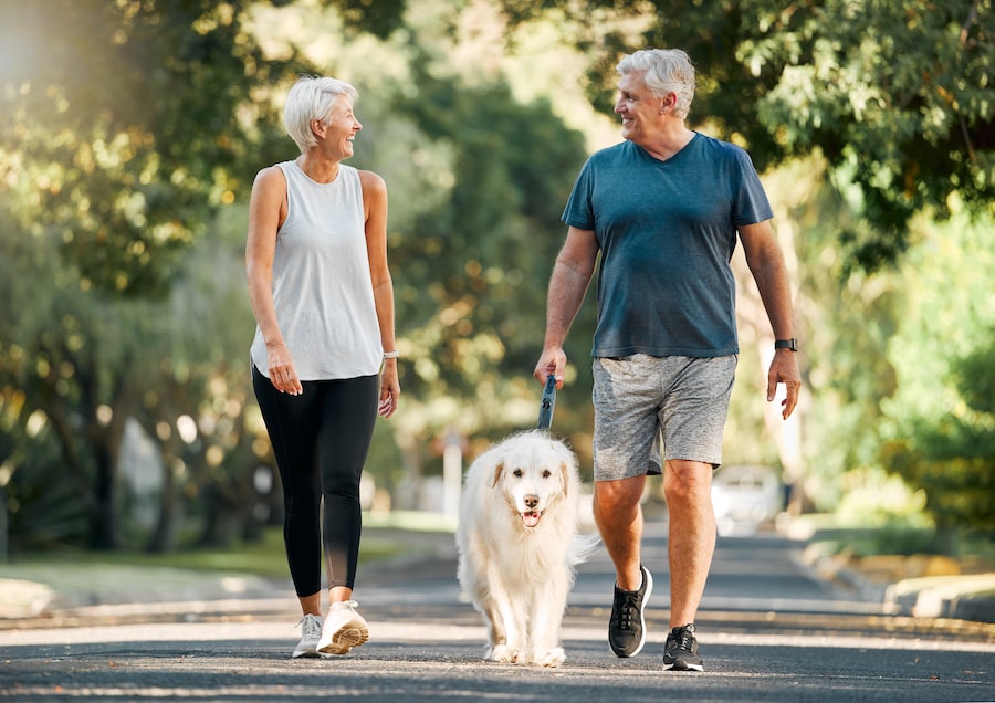 couple walking dog