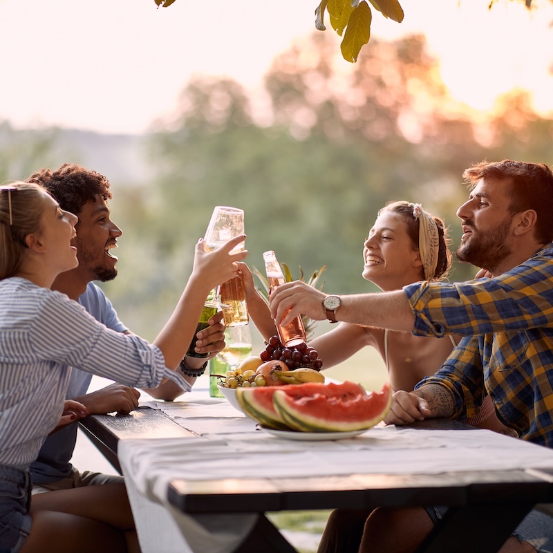 friends at a picnic