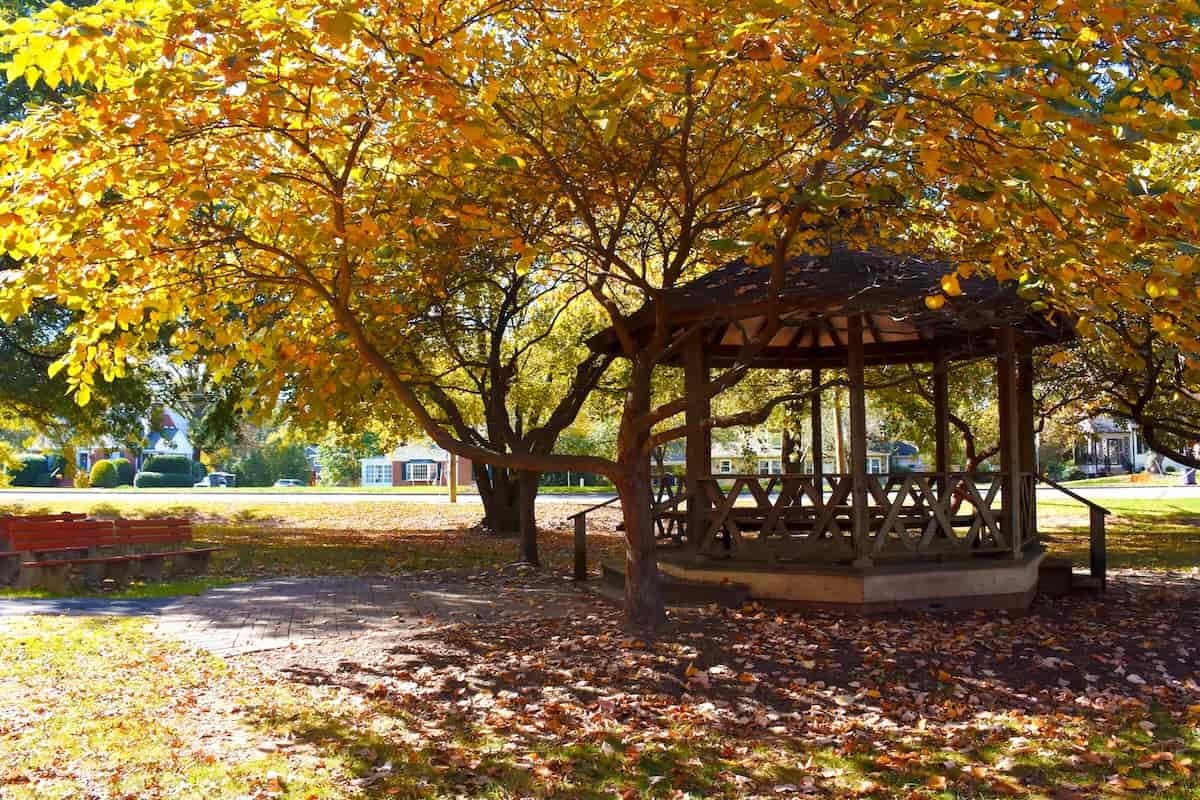 gazebo in park